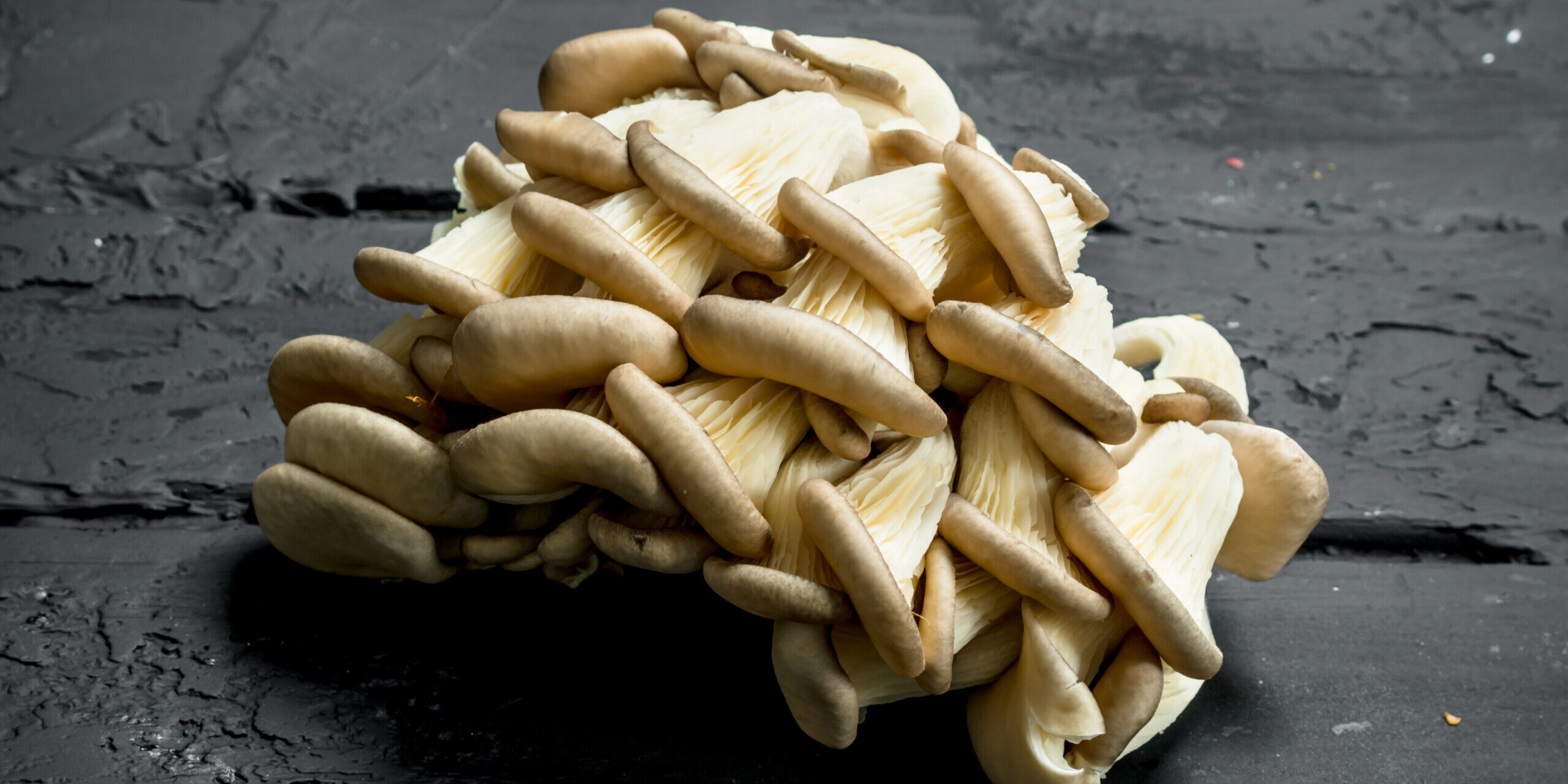 Oyster Mushrooms: Potential Benefits For Bone Health - Almost There